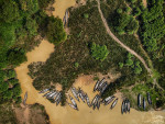 Ratargul Swamp Forest